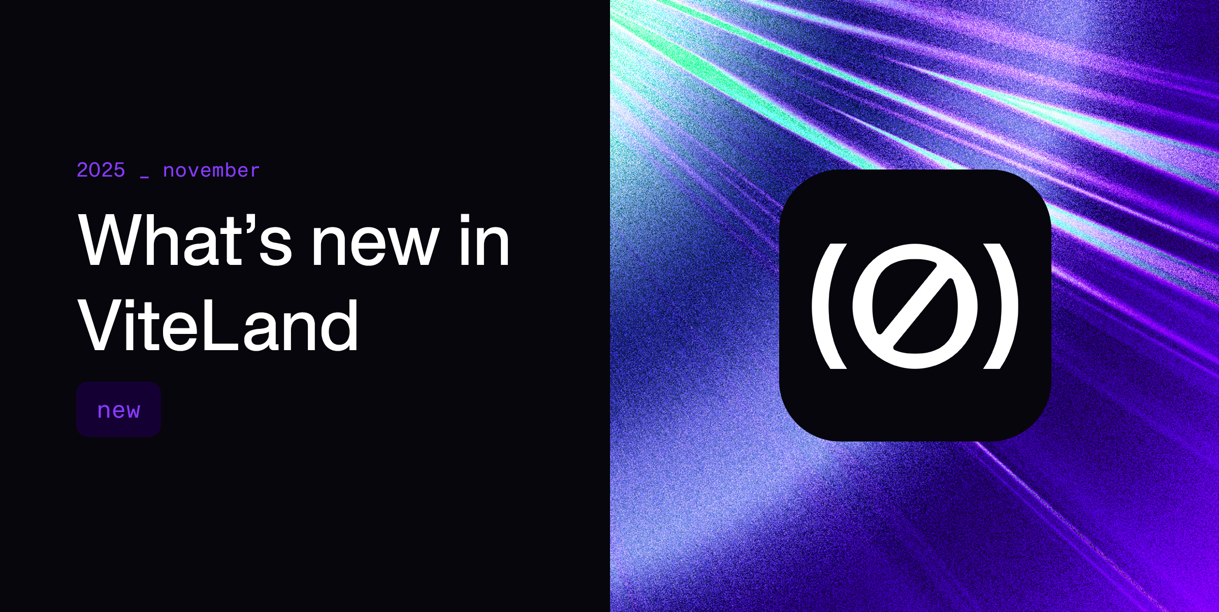 What’s New in ViteLand: November 2025 Recap